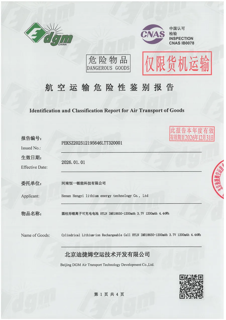 DGM air freight appraisal report