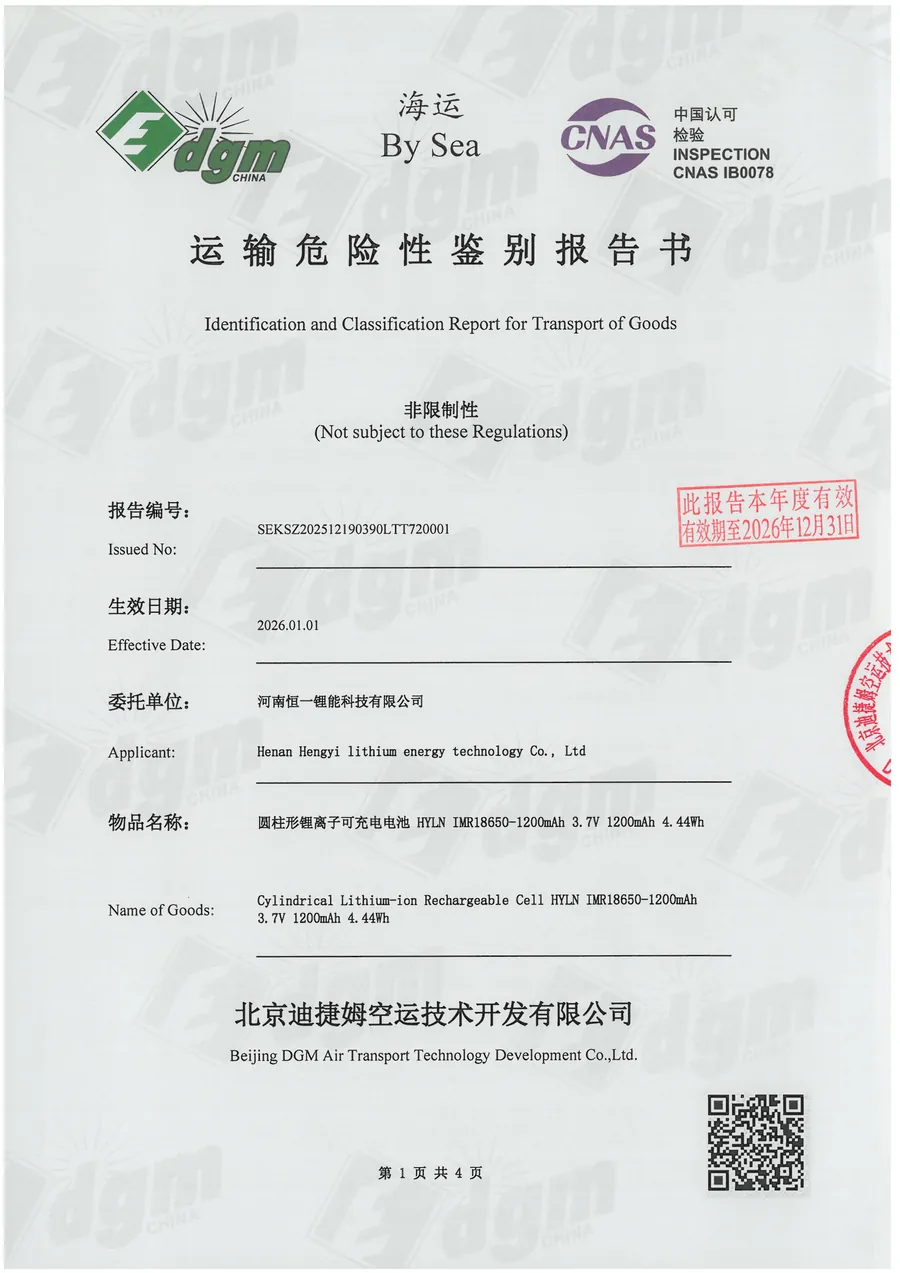 DGM sea freight transport appraisal report